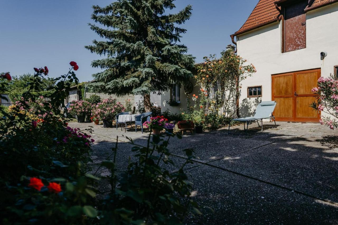 Das Kleine Haus Fertőszéleskút Kültér fotó