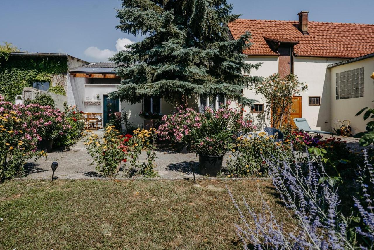 Das Kleine Haus Fertőszéleskút Kültér fotó